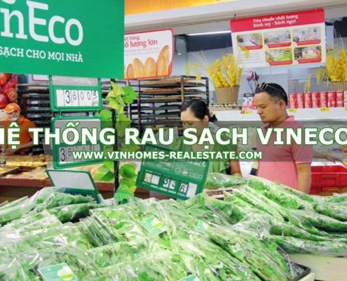 HỆ THỐNG RAU SẠCH VINECO