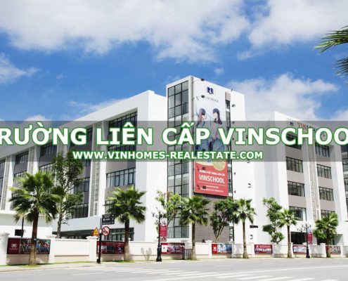 TRƯỜNG LIÊN CẤP VINSCHOOL