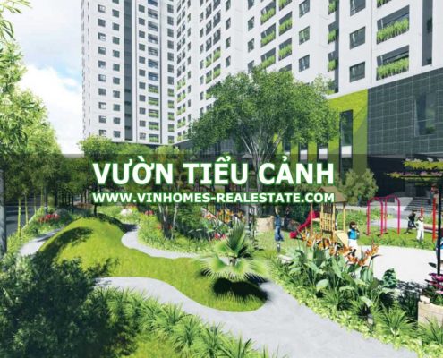 VƯỜN TIỂU CẢNH