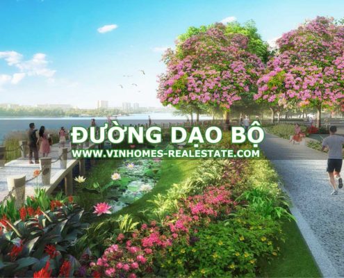 ĐƯỜNG DẠO BỘ